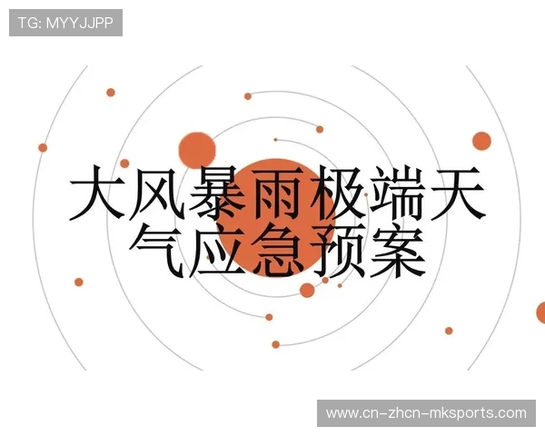 极端天气应对预案优化：意甲比赛延期决策机制完善